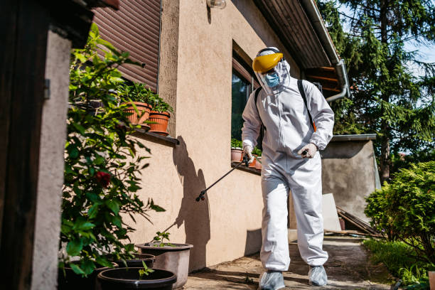 Best Pest Removal Services  in Minster, OH