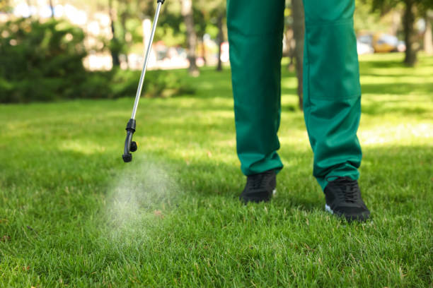 Best Wasp Removal Services  in Minster, OH