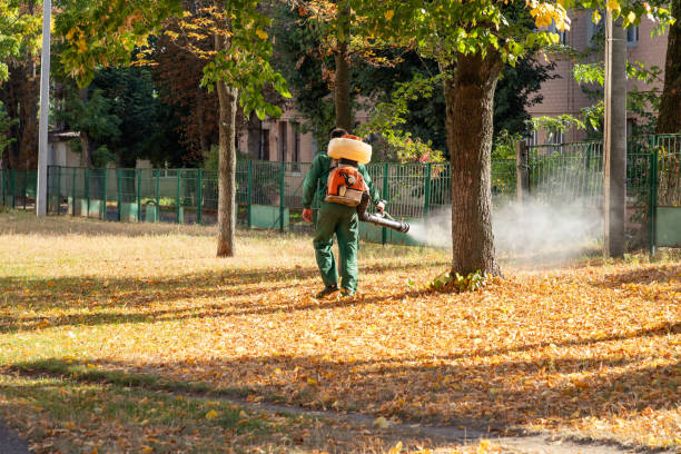 Best Mosquito Control Services  in Minster, OH